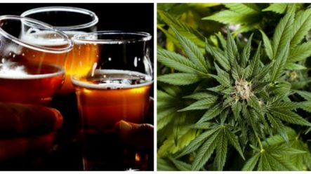 How Cannabis Alleviates the Effects of Too Much Drinking
