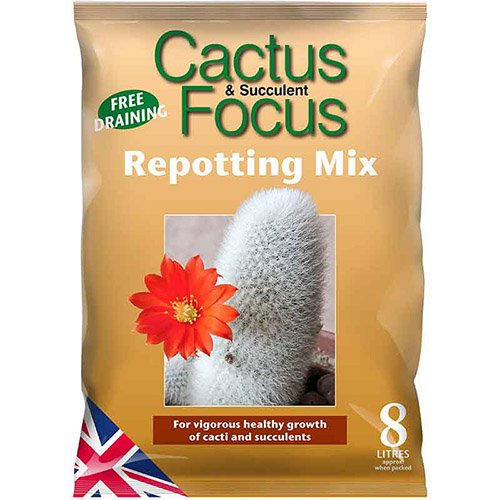 Cactus Focus Potting Soil