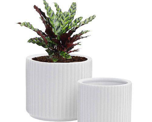 GrowLED Planters Pot