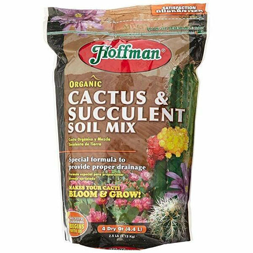 Hoffman Organic Cactus 