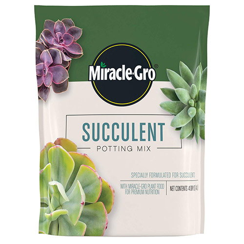 Miracle-gro Succulent Potting Mix