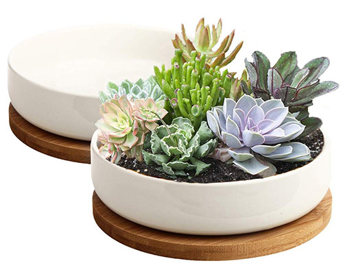 ZOUTOG Succulent Pots