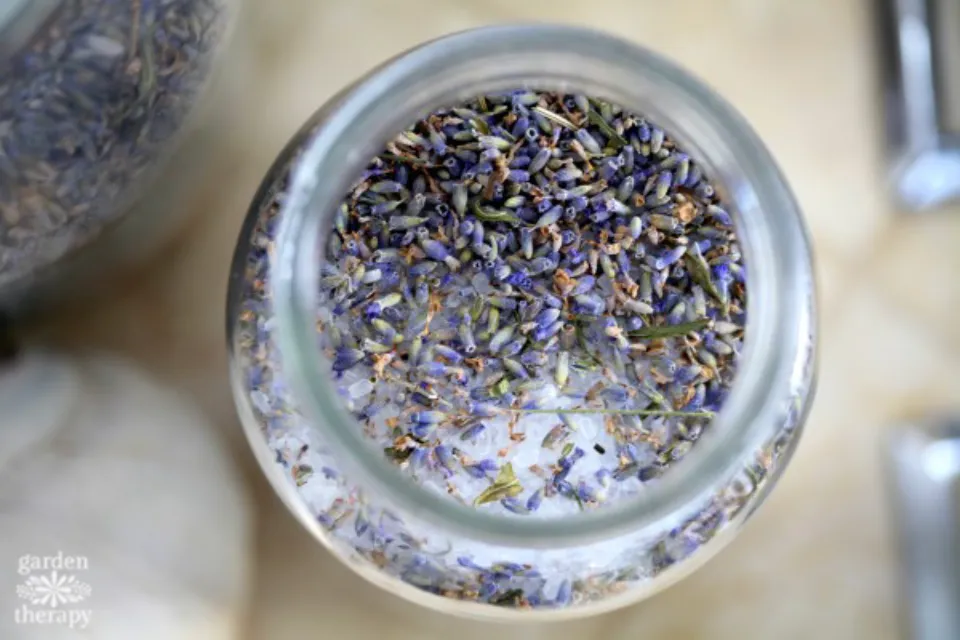 What to Do With Dried Lavender