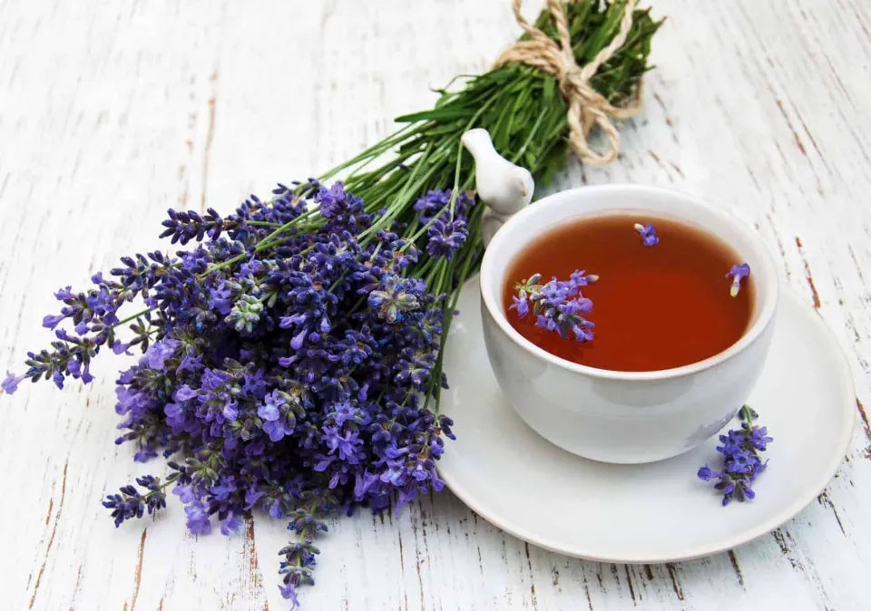 Lavender Tea