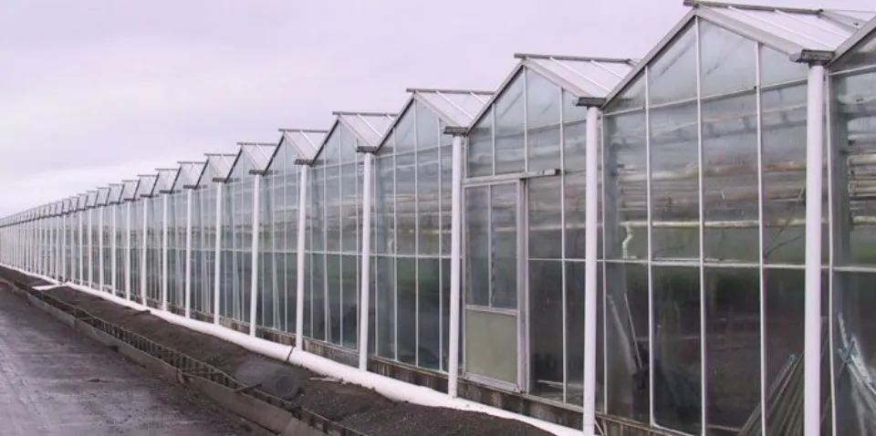 idge and Furrow Greenhouse